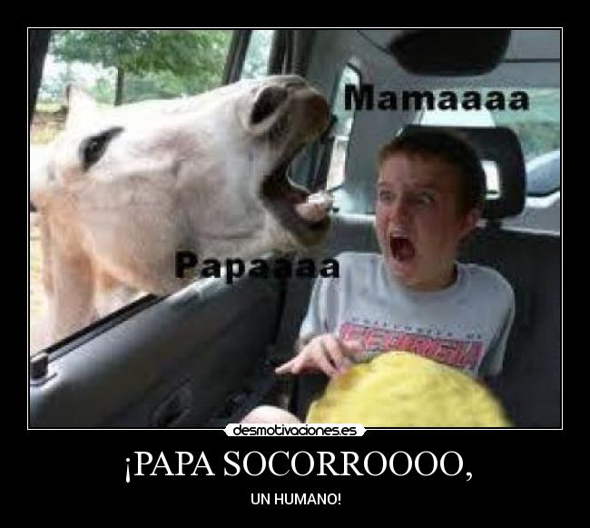 ¡PAPA SOCORROOOO, -
