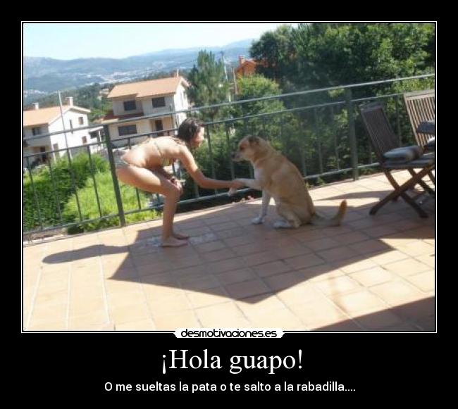 ¡Hola guapo! - O me sueltas la pata o te salto a la rabadilla....