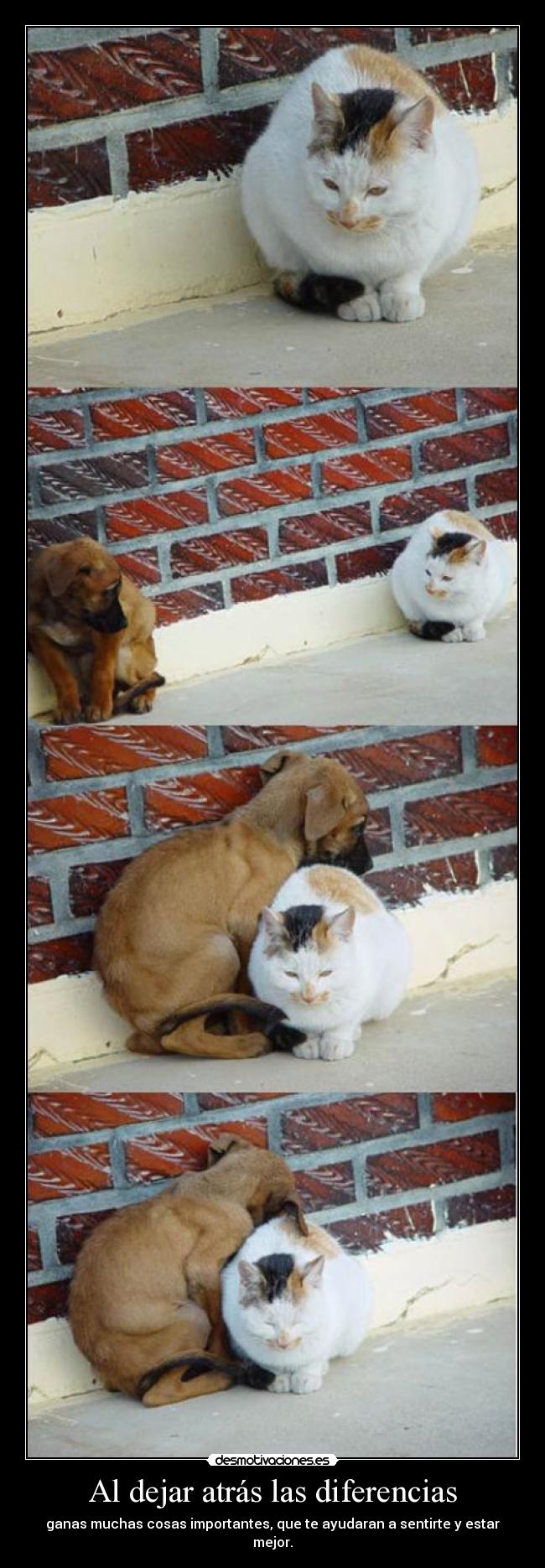 Al dejar atrás las diferencias -