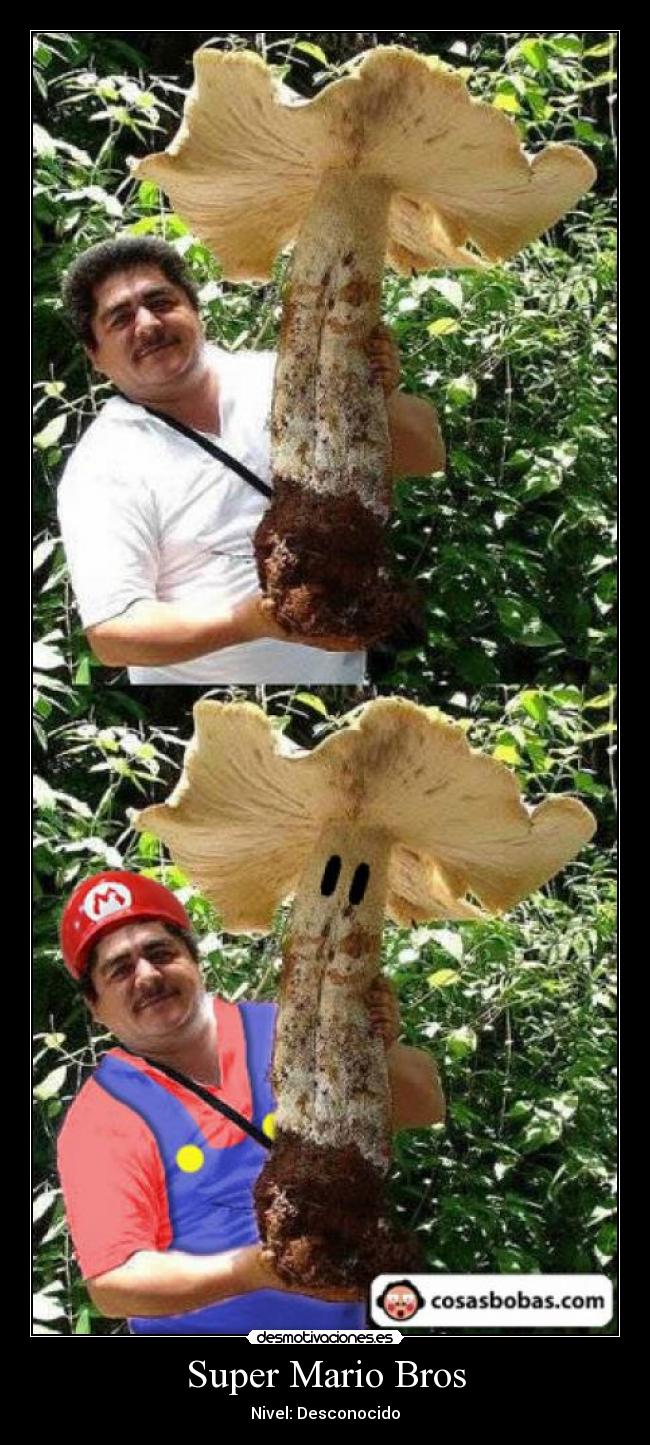 Super Mario Bros -