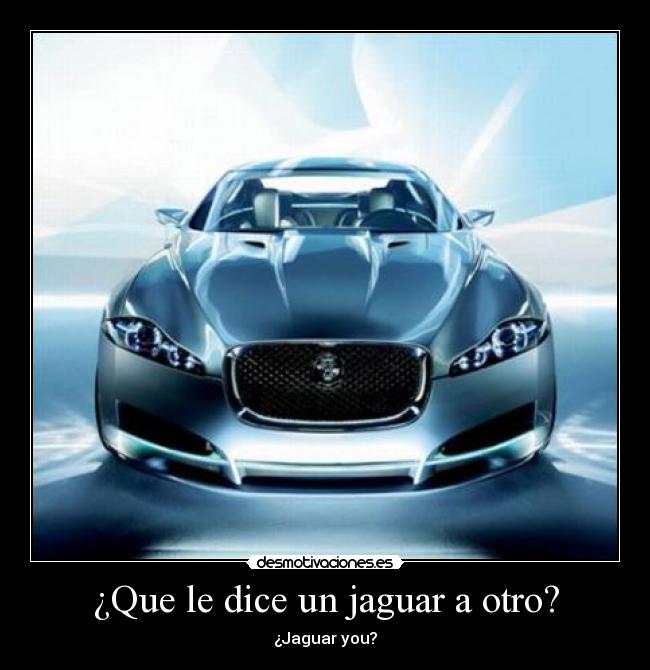 ¿Que le dice un jaguar a otro? - ¿Jaguar you?