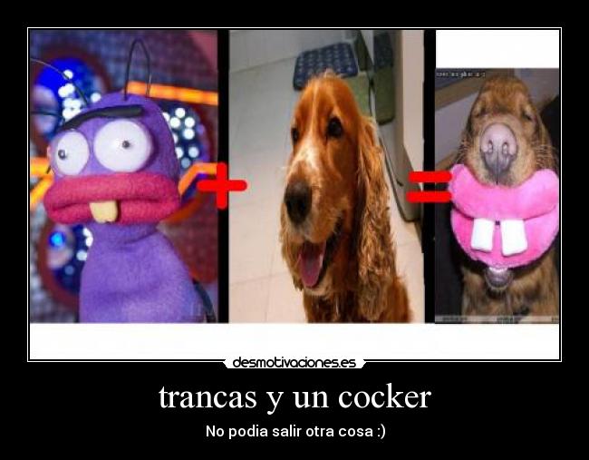 trancas y un cocker -