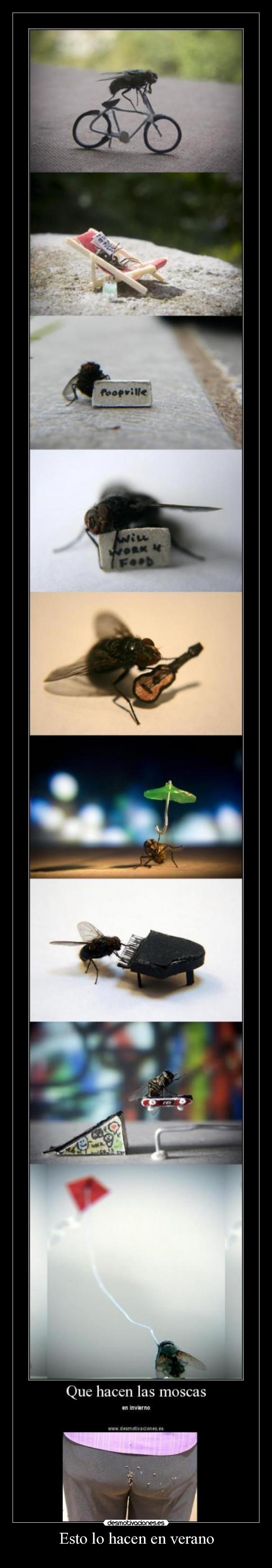 Esto lo hacen en verano -