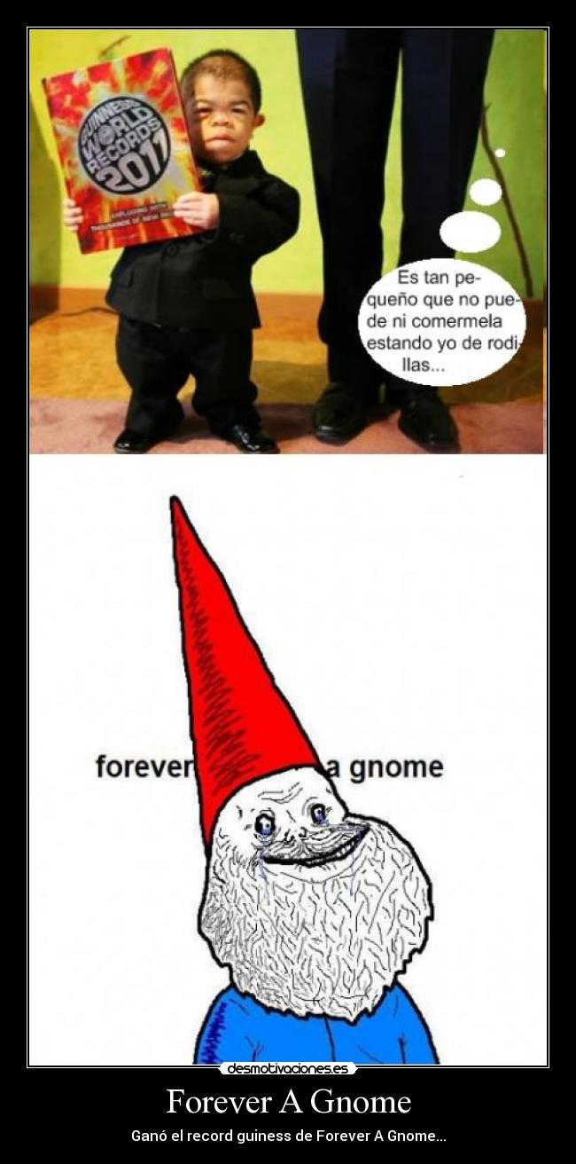 Forever A Gnome - Ganó el record guiness de Forever A Gnome...