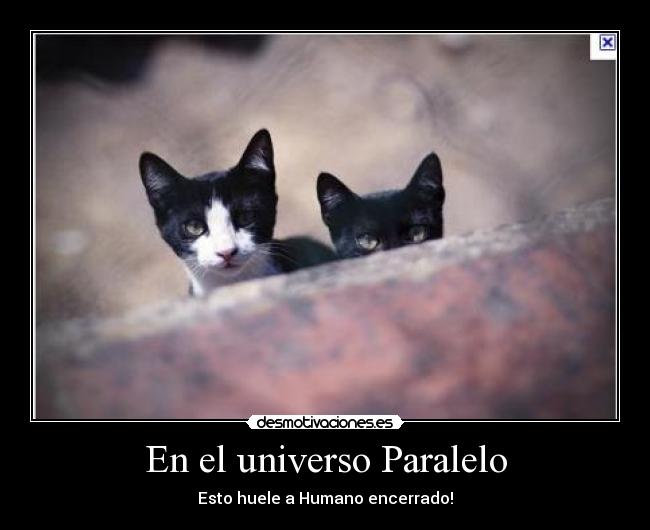 En el universo Paralelo - 