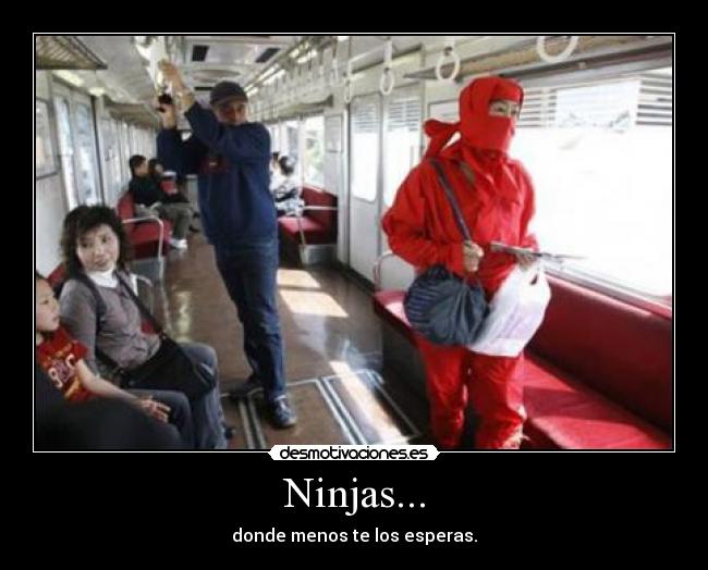 Ninjas... -