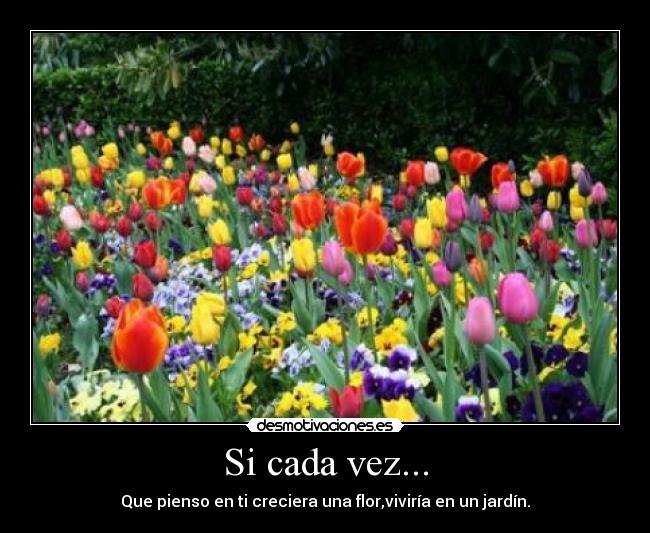 Si cada vez... - 
