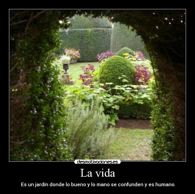 La vida -