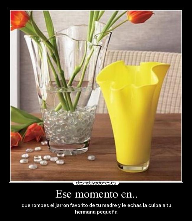 Ese momento en.. - que rompes el jarron favorito de tu madre y le echas la culpa a tu hermana pequeña