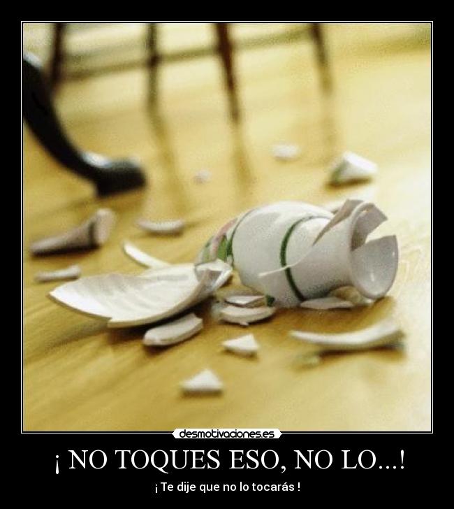 ¡ NO TOQUES ESO, NO LO...! - 