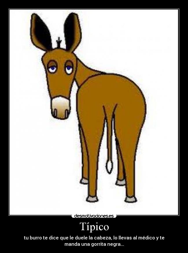 Típico - tu burro te dice que le duele la cabeza, lo llevas al médico y te
manda una gorrita negra...
