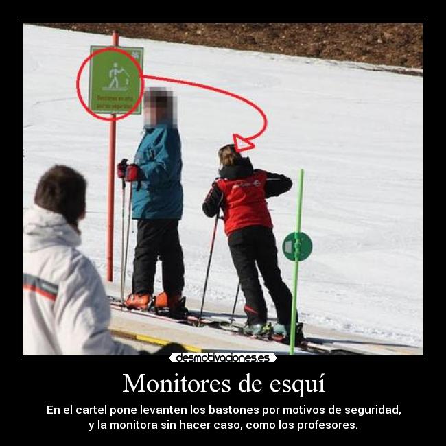 Monitores de esquí -