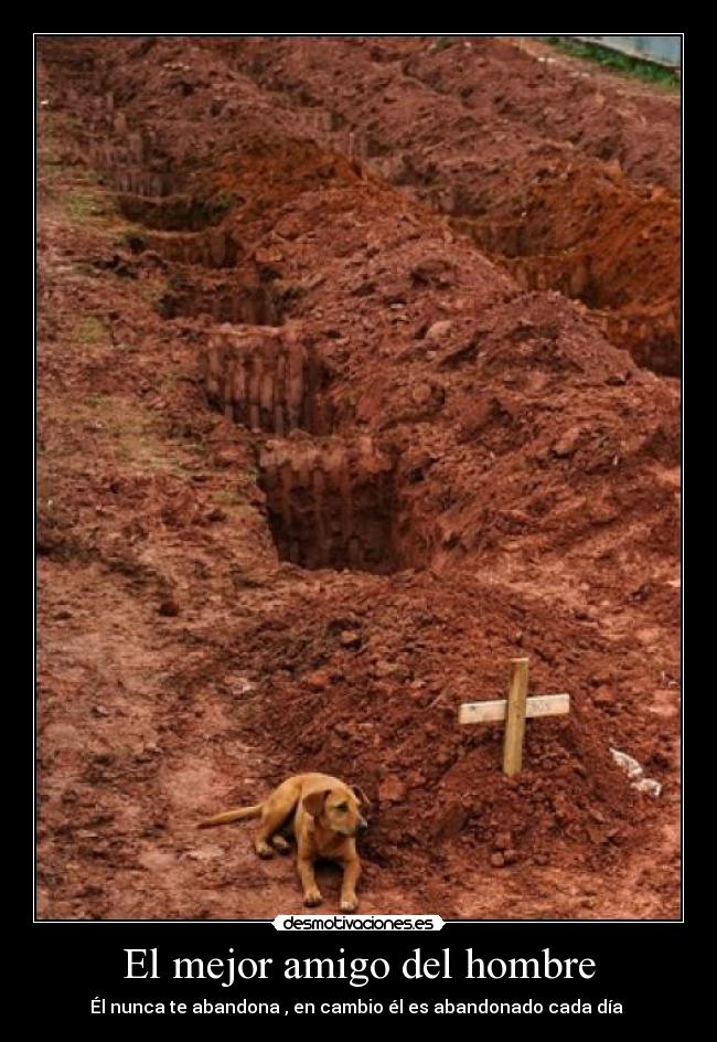 El mejor amigo del hombre -