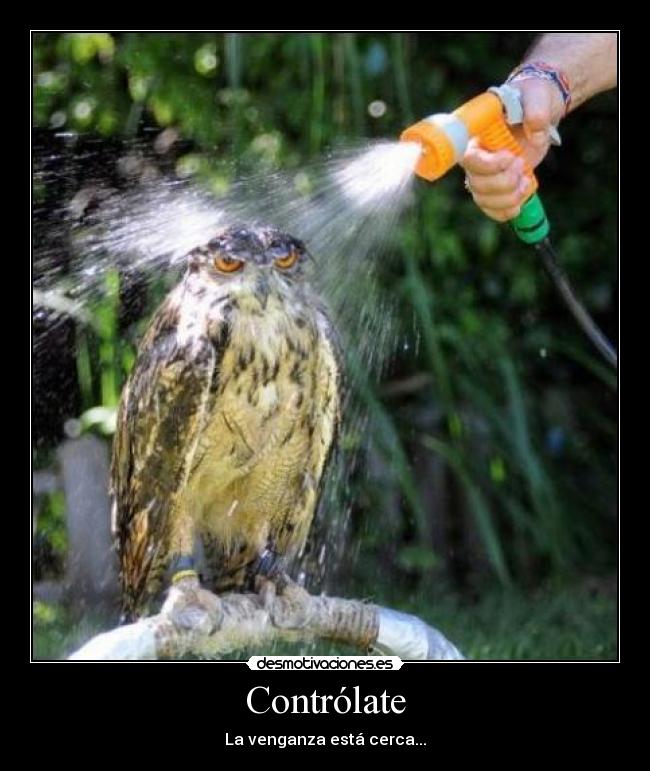 carteles venganza esta cerca desmotivaciones