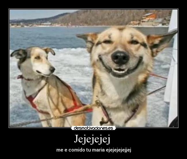 carteles insert coin perros desmotivaciones