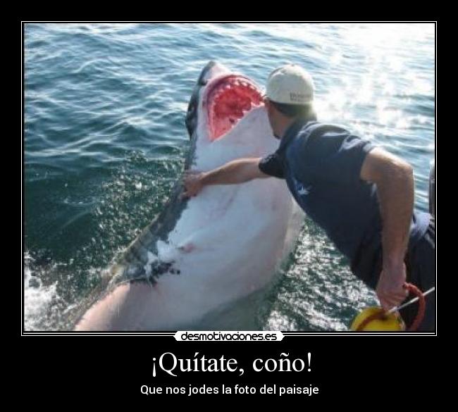 ¡Quítate, coño! - Que nos jodes la foto del paisaje