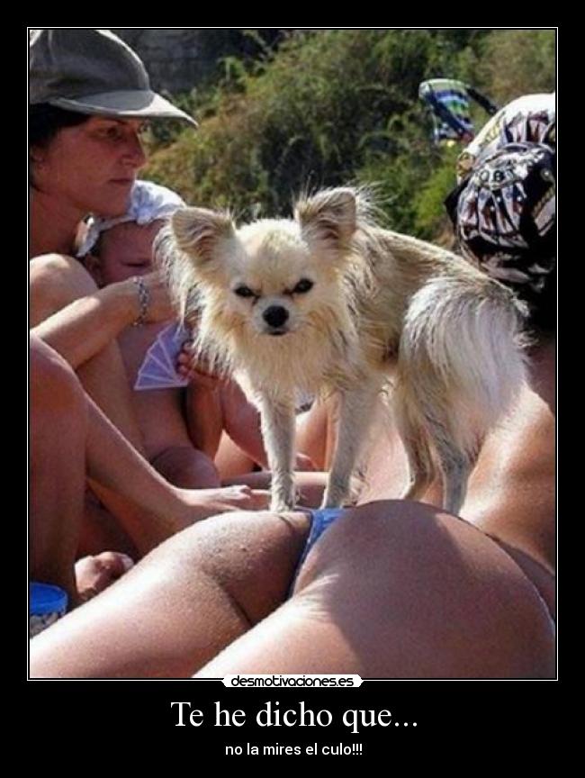 Te he dicho que... - no la mires el culo!!!