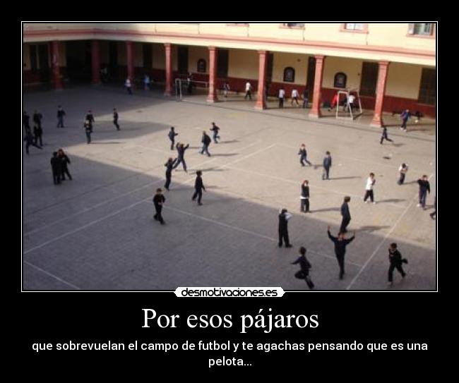 Por esos pájaros - que sobrevuelan el campo de futbol y te agachas pensando que es una pelota...