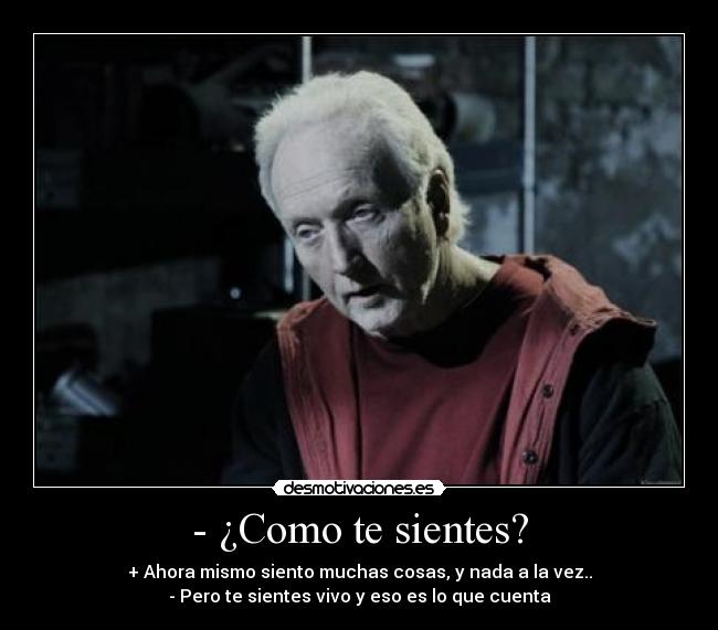 - ¿Como te sientes? - + Ahora mismo siento muchas cosas, y nada a la vez..
- Pero te sientes vivo y eso es lo que cuenta