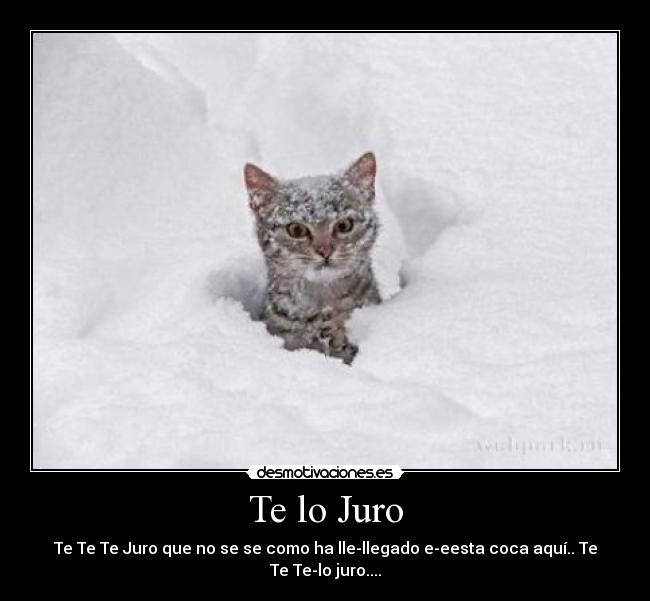 Te lo Juro - Te Te Te Juro que no se se como ha lle-llegado e-eesta coca aquí.. Te Te Te-lo juro....