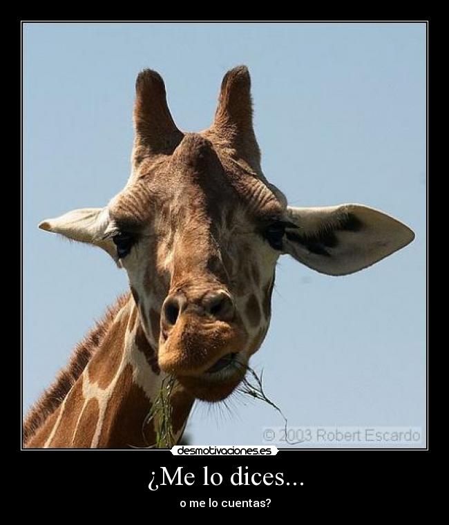 ¿Me lo dices... - o me lo cuentas?