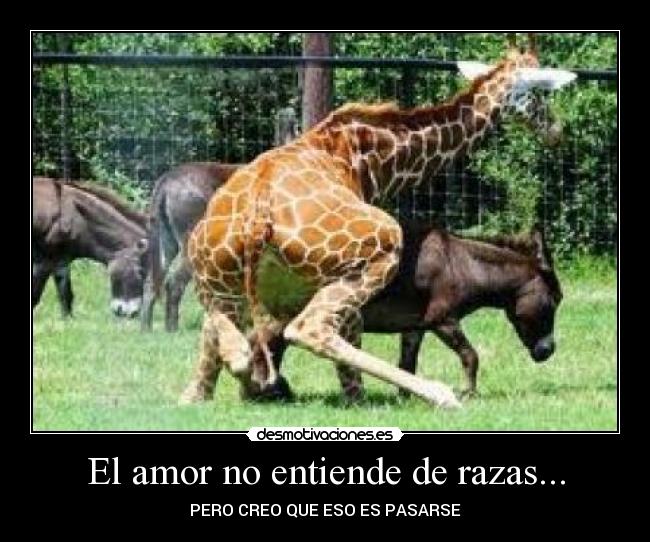 El amor no entiende de razas... - PERO CREO QUE ESO ES PASARSE