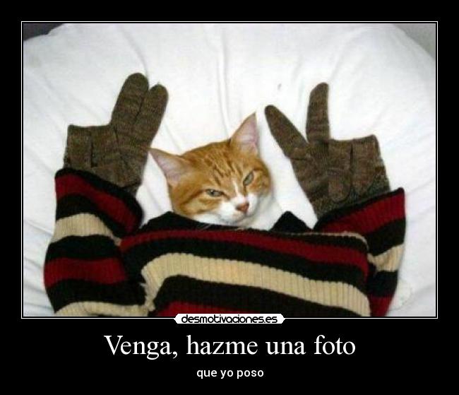 Venga, hazme una foto -