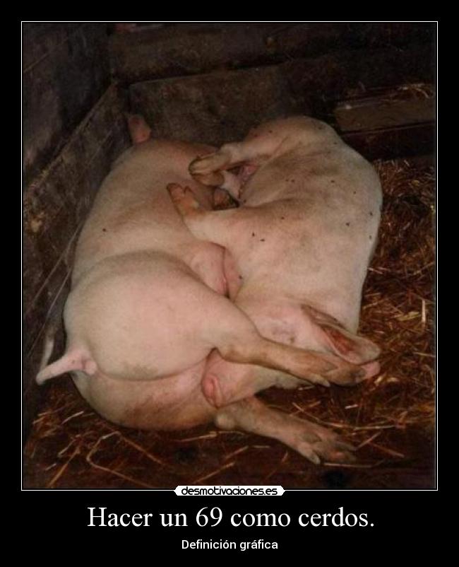 Hacer un 69 como cerdos. -