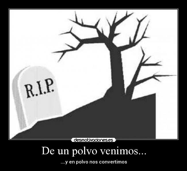 De un polvo venimos... - 