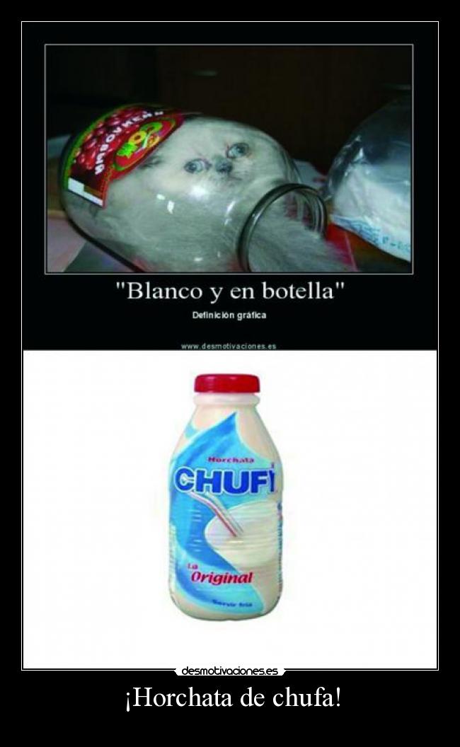 ¡Horchata de chufa! - 