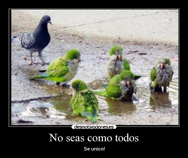 No seas como todos -