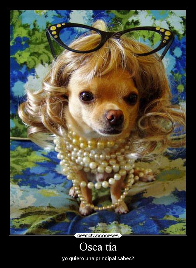 Osea tía -