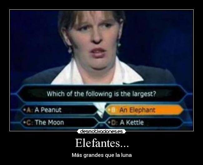 Elefantes... - 