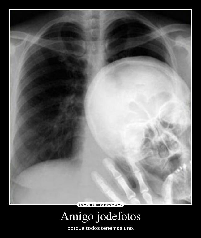 carteles jodefotos desmotivaciones