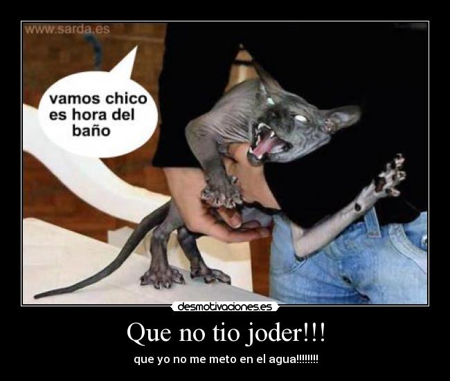 Que no tio joder!!! - que yo no me meto en el agua!!!!!!!!