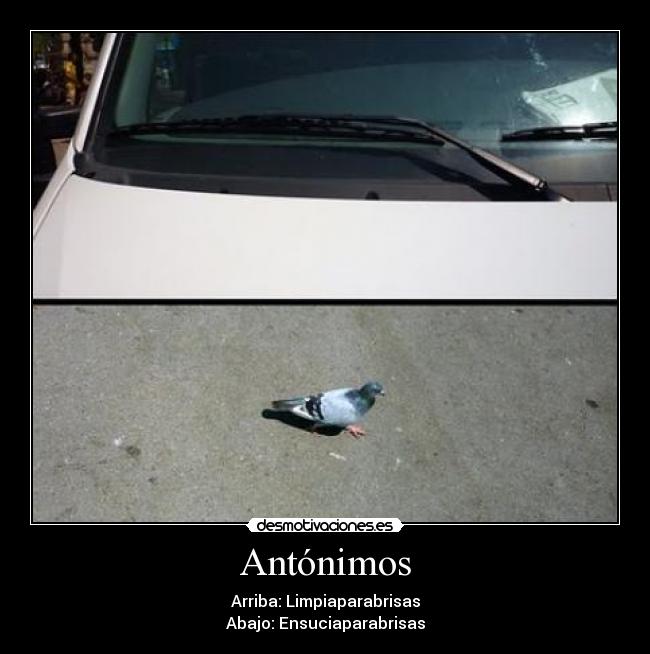 Antónimos - Arriba: Limpiaparabrisas
Abajo: Ensuciaparabrisas