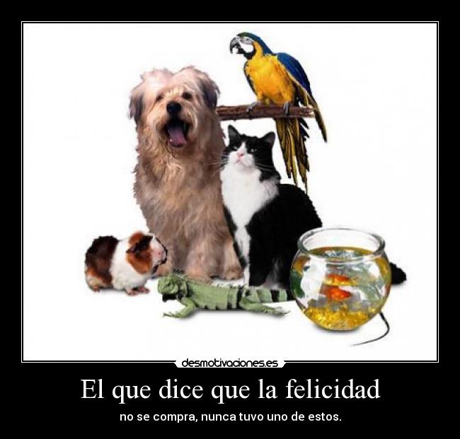 El que dice que la felicidad - no se compra, nunca tuvo uno de estos.
