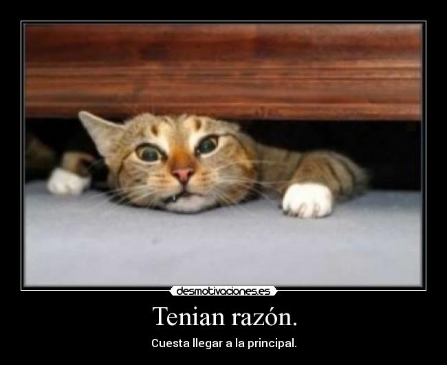 Tenian razón. - Cuesta llegar a la principal.