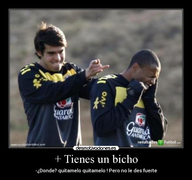 + Tienes un bicho - -¿Donde? quitamelo quitamelo ! Pero no le des fuerte