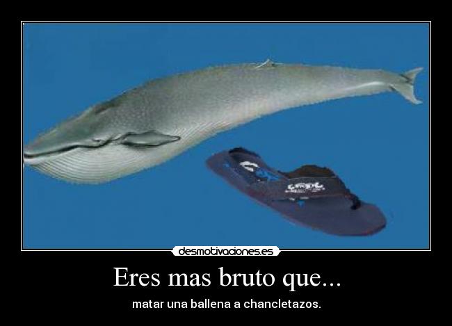 Eres mas bruto que... -