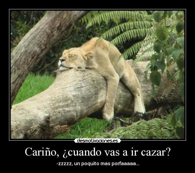 Cariño, ¿cuando vas a ir cazar? - -zzzzz, un poquito mas porfaaaaa...