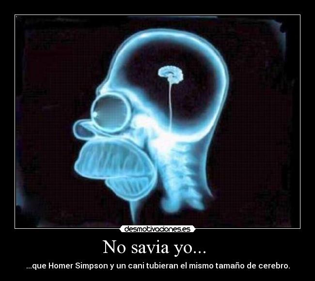 No savia yo...  - ...que Homer Simpson y un cani tubieran el mismo tamaño de cerebro.