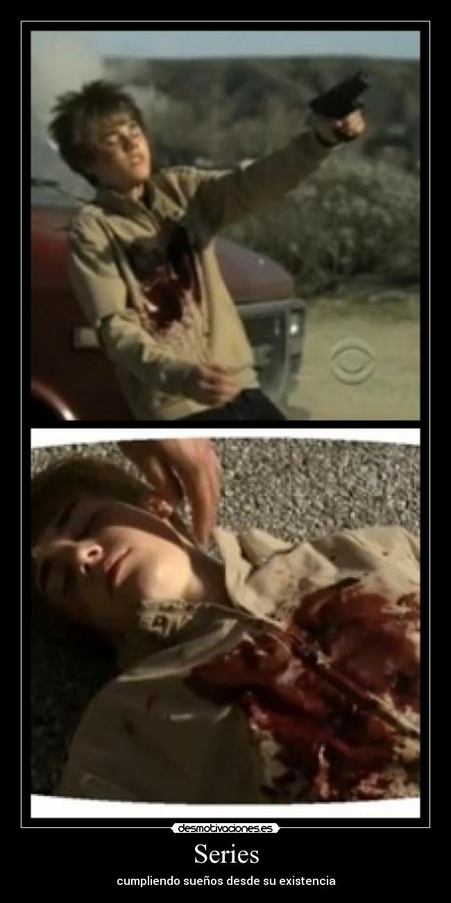 Series - cumpliendo sueños desde su existencia