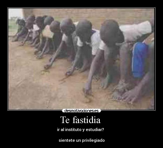 Te fastidia - ir al instituto y estudiar?
sientete un privilegiado