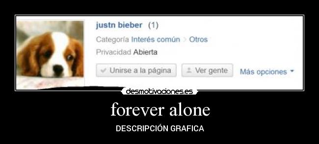 forever alone - DESCRIPCIÓN GRAFICA