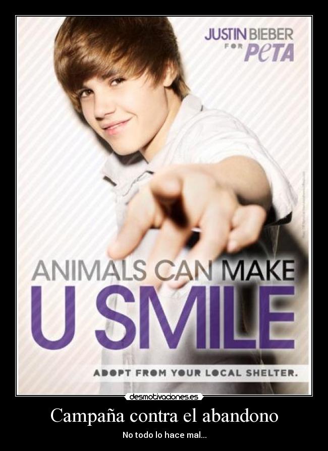 Campaña contra el abandono -