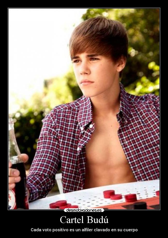 Cartel Budú - Cada voto positivo es un alfiler clavado en su cuerpo