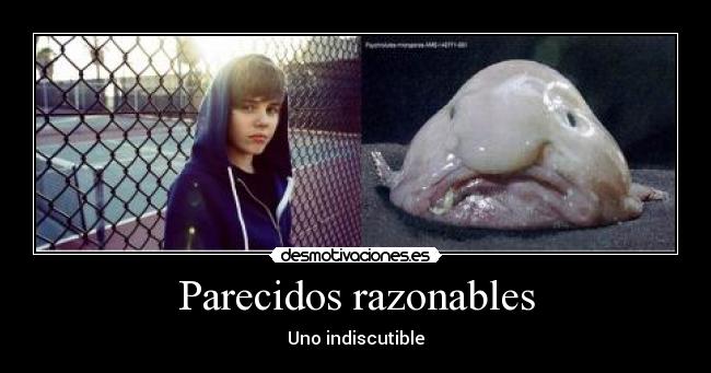 Parecidos razonables -