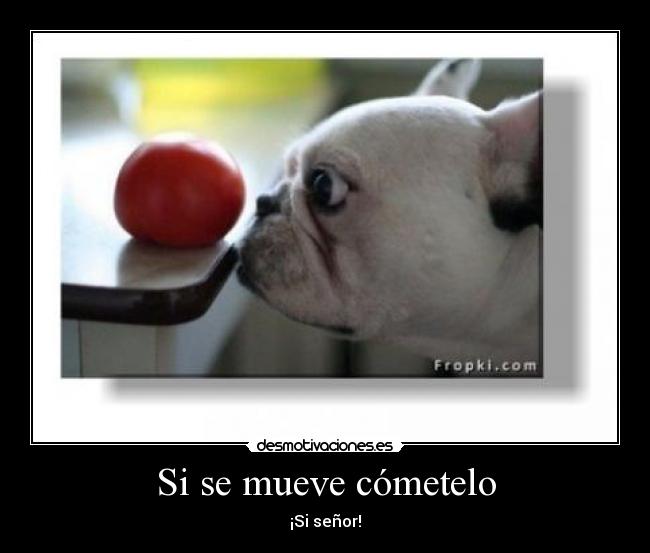 carteles mueve cometelo desmotivaciones