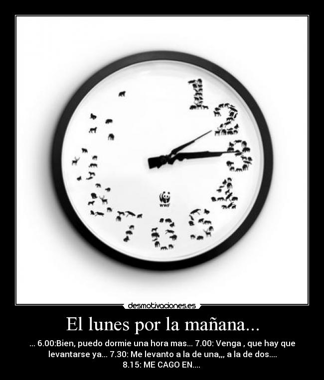 El lunes por la mañana... -